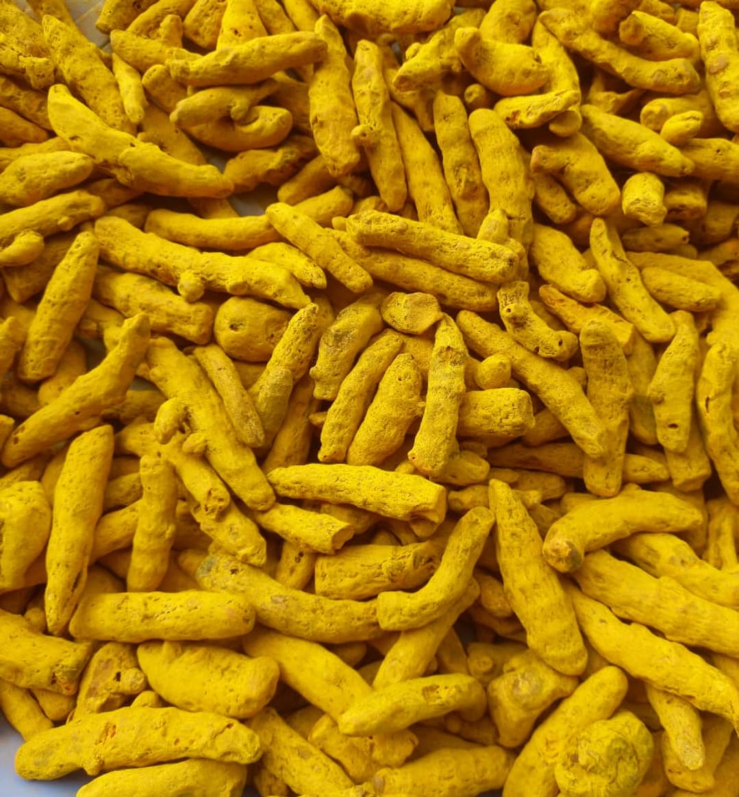 TURMERIC FINGER DOUBLE POLISH