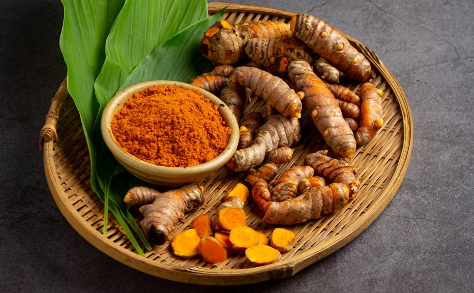 Turmeric Extract vs Turmeric Powder: A Guide for Bulk Buyers